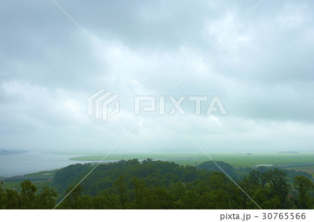 始華湖 オウムも 自然 30765566