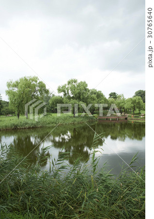 公園 ソウル 龍山家族公園 30765640