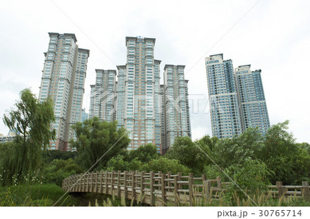 GSザイ gsジーナ 支流の川生態公園 30765714