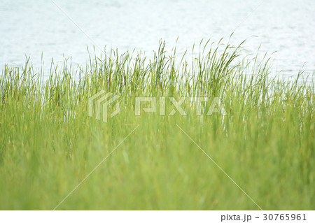 京畿道 キョンギド 富川市 30765961