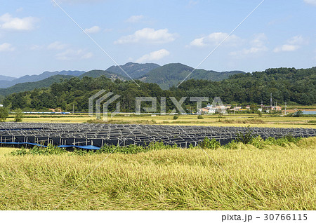 京畿道 キョンギド 漣川郡 30766115