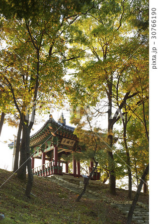 京畿道 キョンギド バングジョン 30766190