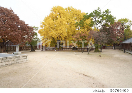 ソウル 成均館 鍾路区 30766409