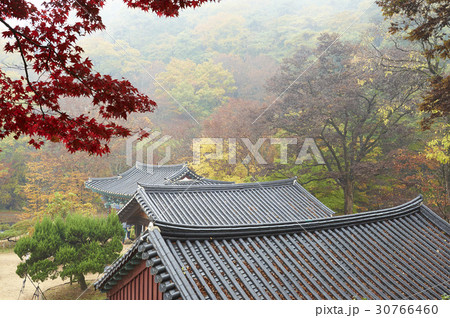 紅葉 麻谷寺 忠南 30766460