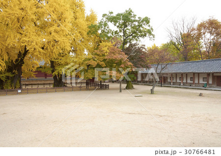 ソウル 成均館 鍾路区 30766481