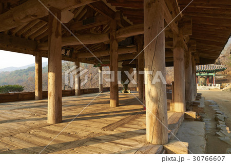 慶北 マンセル 法鼓 30766607