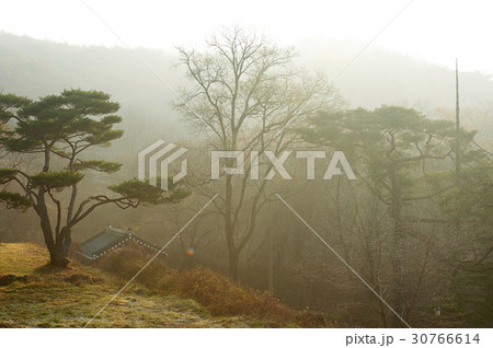 慶北 鳳停寺 安東市 30766614