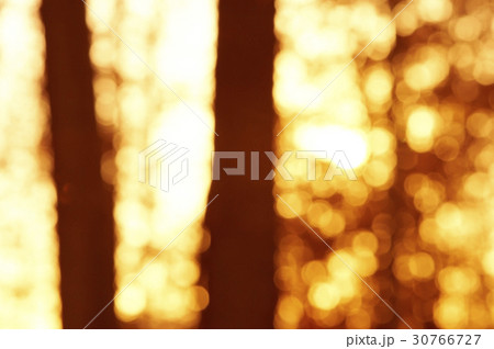 光 ボケ 屋外 30766727