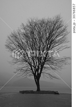 京畿道 キョンギド ヅムルモリ 30766857