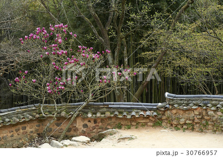 潭陽郡 瀟灑園 全羅南道 30766957