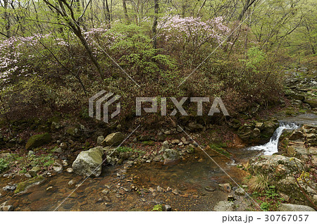 谷 春 順天市 30767057