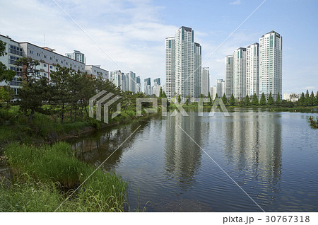 高層マンション 木 エコメトロ 30767318