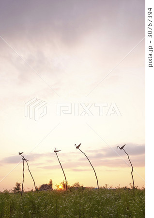 夕焼け ソッテ 風景 30767394