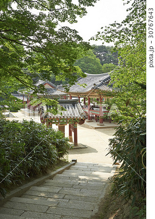京畿道 キョンギド 神勒寺 30767643