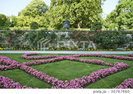 花 木 ミラベル庭園 30767660