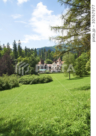 木 ルーマニアの 芝生 30767977