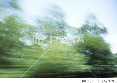 木 ルーマニアの 速度 30767979