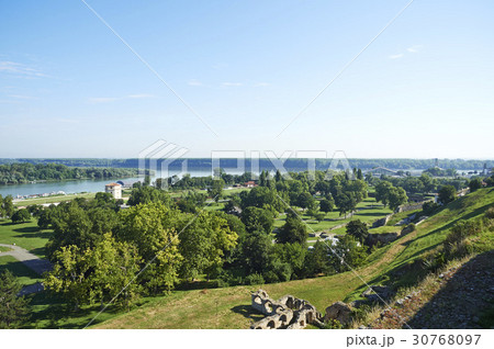 木 ドナウ川 ベオグラード 30768097