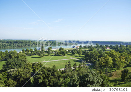 木 ドナウ川 ベオグラード 30768101