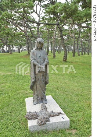 像 松 ソルムェ聖地 30768235