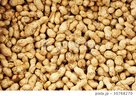 茶色 ピーナッツ 食べ物の写真素材
