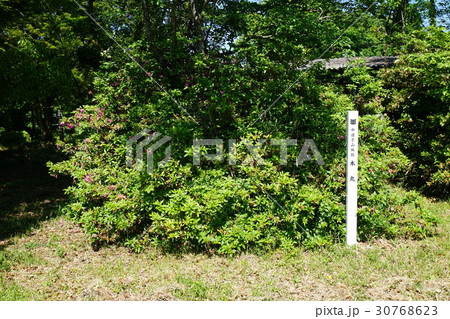 志方の城山 本丸跡 兵庫県 加古川市志方町 志方の城山 本丸跡 兵庫県 加古川市志方町 30768623