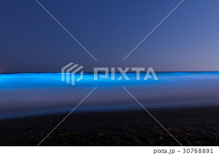 湘南の夜光虫の写真素材