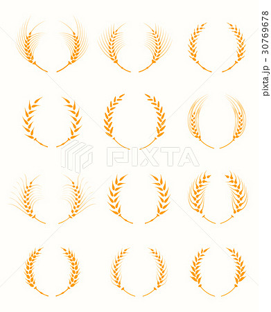 Agriculture grain, organic plant, bread food. 30769678