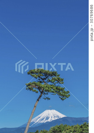 富士山 千本松原 富士山 千本松原 30769686
