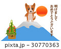 戌年年賀状　富士山と犬 30770363