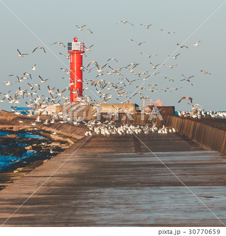 Seagulls against lighthouse Seagulls against lighthouse 30770659