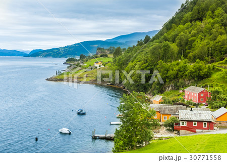 Beautiful Nature Hardangerfjord landscape Norway Beautiful Nature Hardangerfjord landscape Norway 30771558