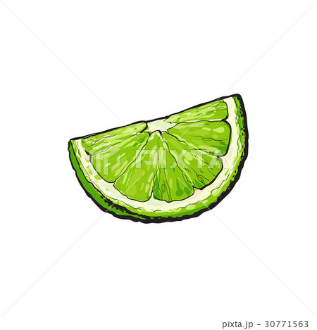 Quarter, segment, piece of ripe green lime 30771563