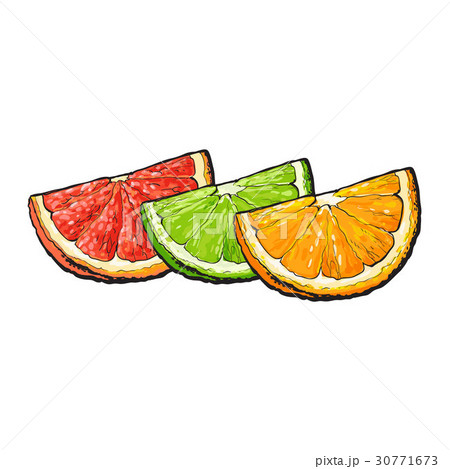 Quarter, piece of orange, grapefruit, lime, hand 30771673