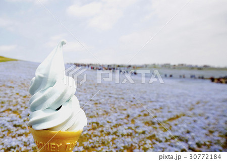 ソフトクリーム ひたち海浜公園 ソフトクリーム ひたち海浜公園 30772184