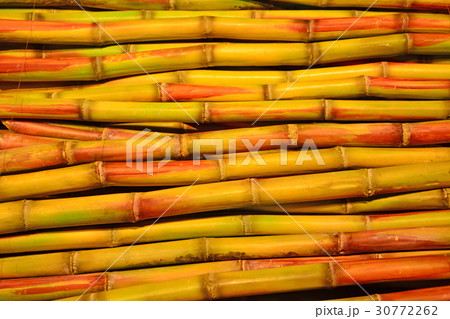 さとうきび さとうきび 30772262