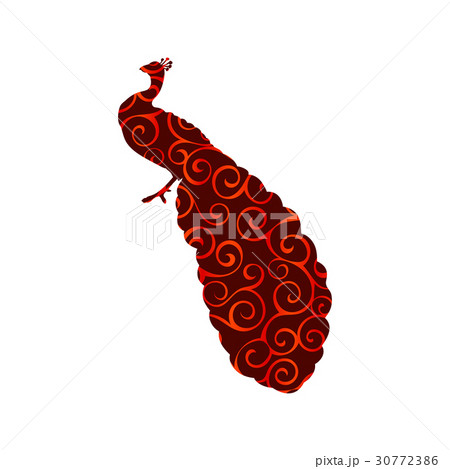 Peacock bird color silhouette animal 30772386