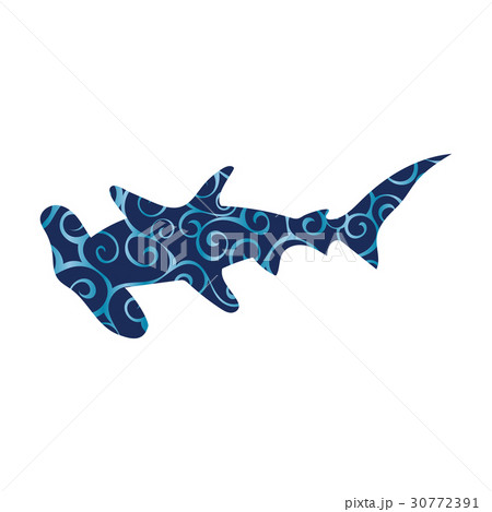 Shark hammerhead predator nautical color Shark hammerhead predator nautical color 30772391