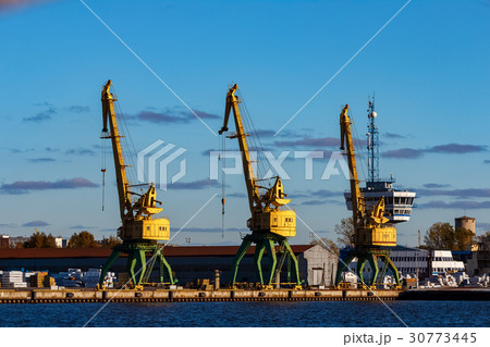Yellow cargo cranes 30773445