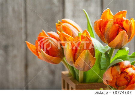 Bouquet of orange tulips Bouquet of orange tulips 30774337