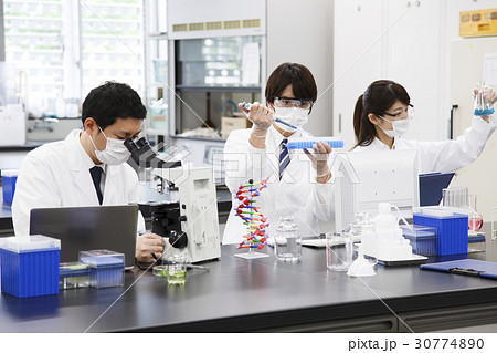 研究　サイエンス　バイオ　化学　科学　実験　科学者　化学者 30774890