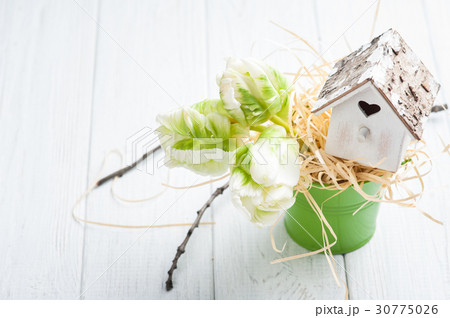 Green tulips, wooden heart shape bird house Green tulips, wooden heart shape bird house 30775026