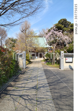 王子散歩:浄土宗 正受院 本堂 王子散歩:浄土宗 正受院 本堂 30775035