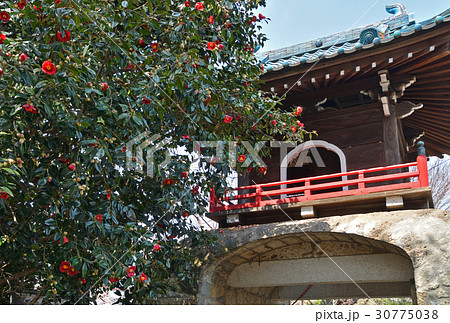 王子散歩:浄土宗 正受院 山門 王子散歩:浄土宗 正受院 山門 30775038