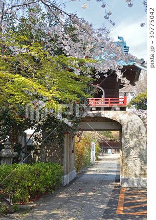 王子散歩:浄土宗 正受院 山門 王子散歩:浄土宗 正受院 山門 30775042