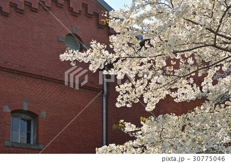 王子散歩：旧醸造試験所第一工場 30775046