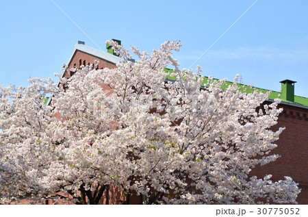 王子散歩：旧醸造試験所第一工場 30775052