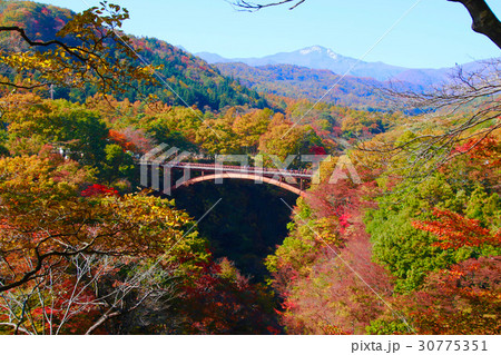 秋の雪割り橋（西郷村） 30775351