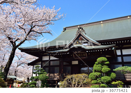 常光寺 常光寺 30775421