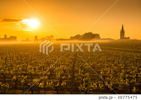 Saint Emilion Sunrise, Bordeaux Vineyard, France Saint Emilion Sunrise, Bordeaux Vineyard, France 30775475